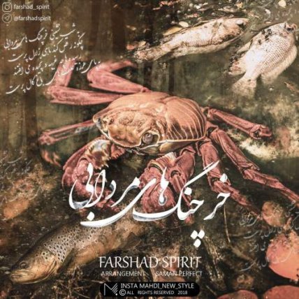 خرچنگ های مردابی
