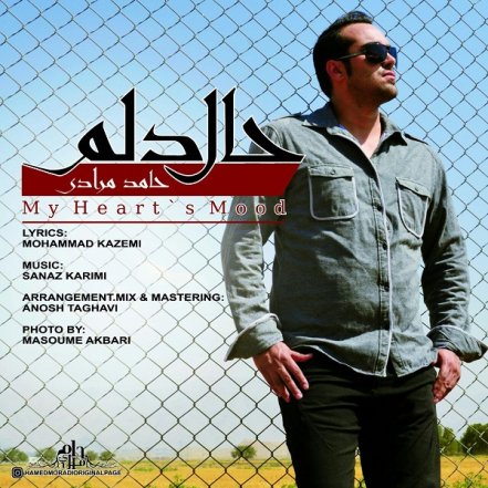 حال دلم