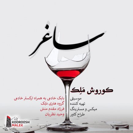 ساغر