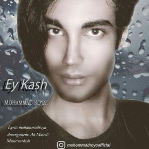 ای کاش
