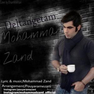 دلتنگتم