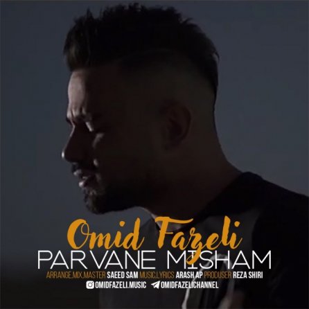 پروانه میشم