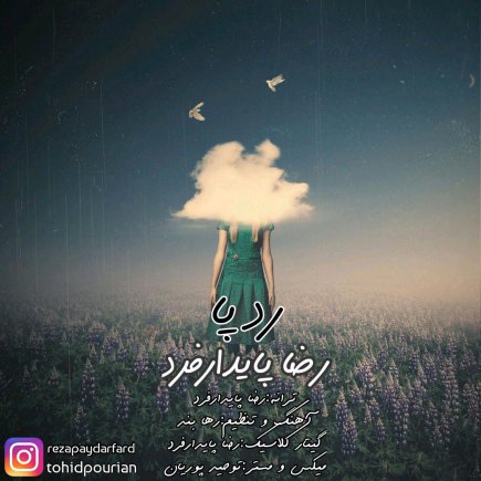 رد پا
