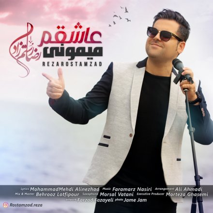 عاشقم میمونی