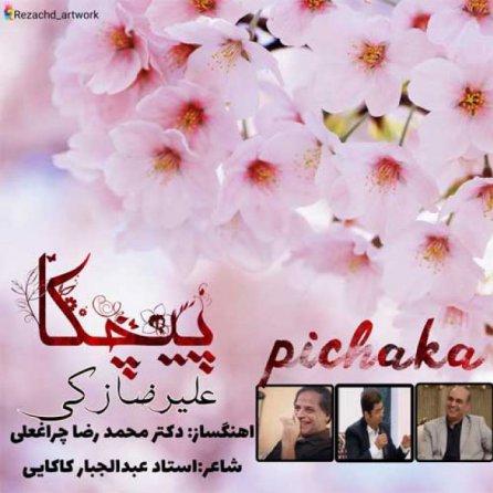 پیچکا