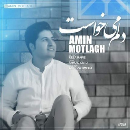 دلم می خواست