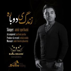 زندگی دوباره