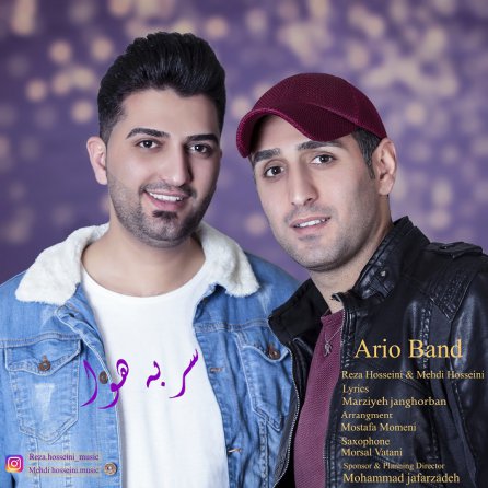 سر به هوا