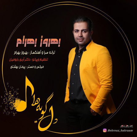 دل گویه ها