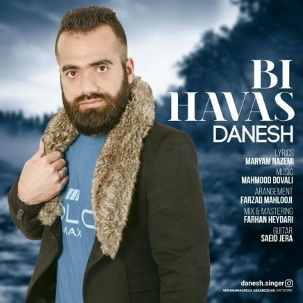 بی حواس