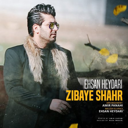 زیبای شهر