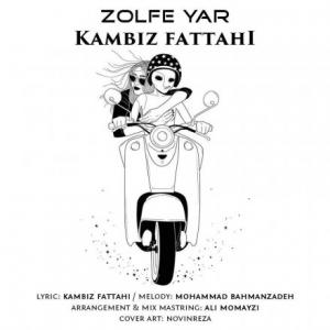زلف یار