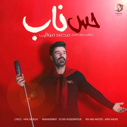 حس ناب
