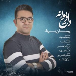 دل دیوانه