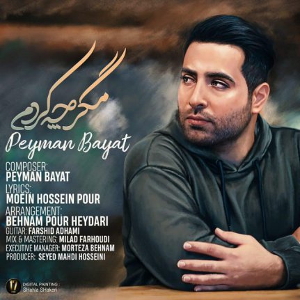 مگر چه کردم