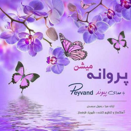 پروانه میشن