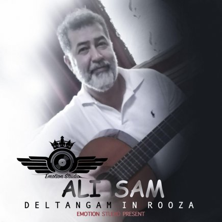 دلتنگم این روزا