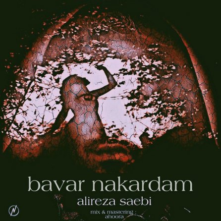 باور نکردم