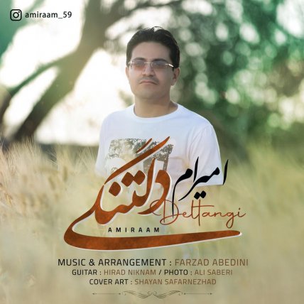 دلتنگی