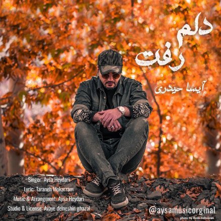 دلم رفت