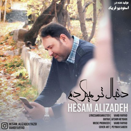 دنبال تو میگردم