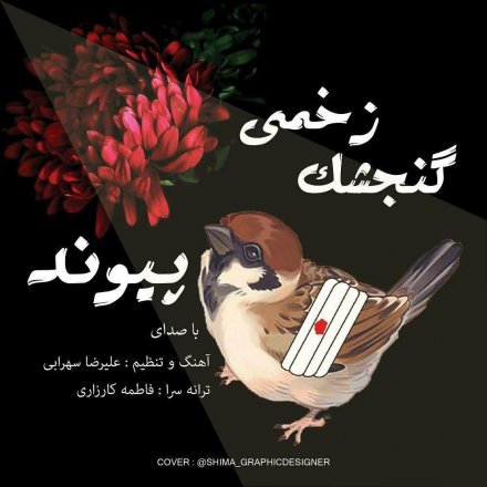 گنجشک زخمی