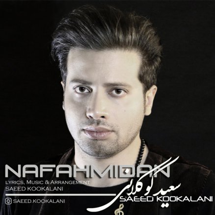 نفهمیدن