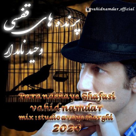 پرنده های قفسی