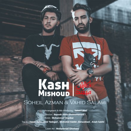 کاش میشد