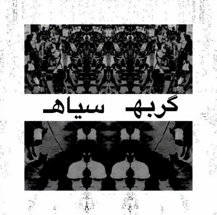 گربه سیاه