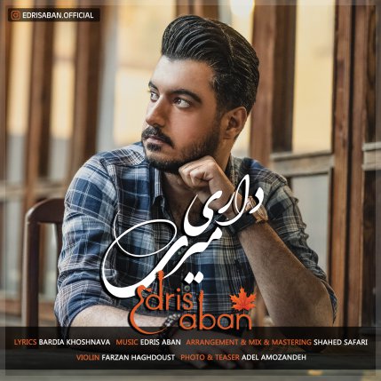 داری میری