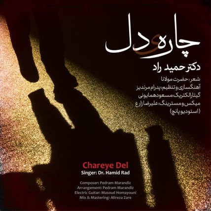چاره ی دل