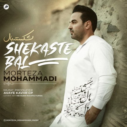 شکسته بال