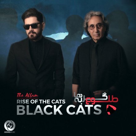 طلوع گربه ها