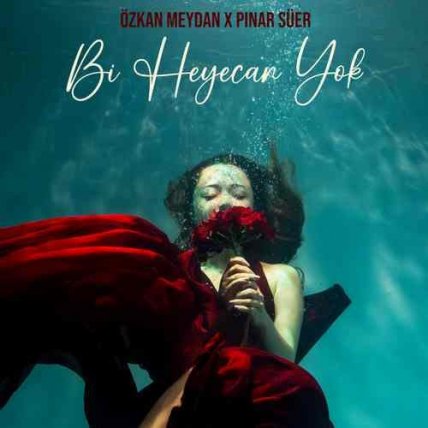 Bi Heyecan Yok