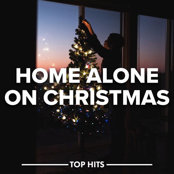 Home Alone On Christmas