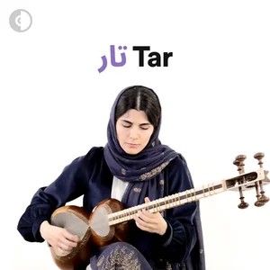 کالکشن تک نوازی تار