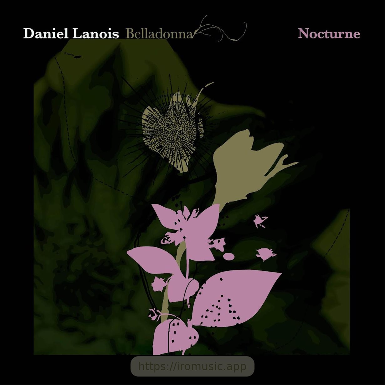 Belladonna Nocturne