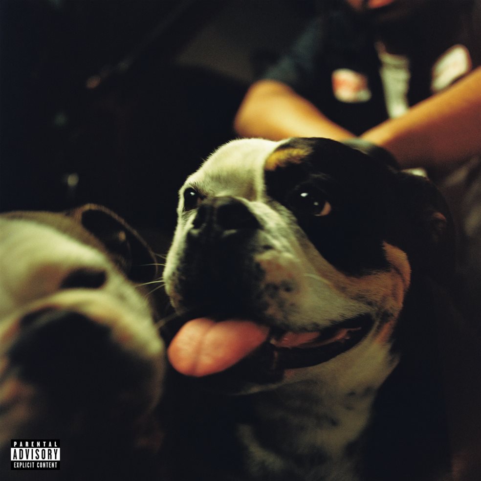 Bulldawg