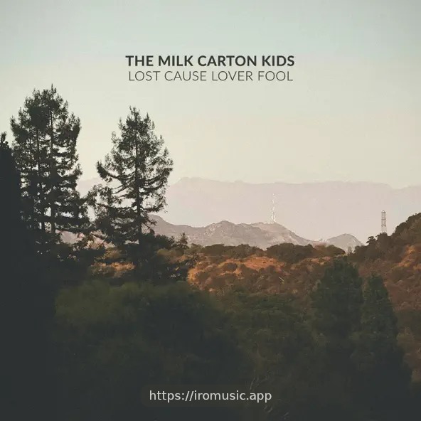 Lost Cause Lover Fool