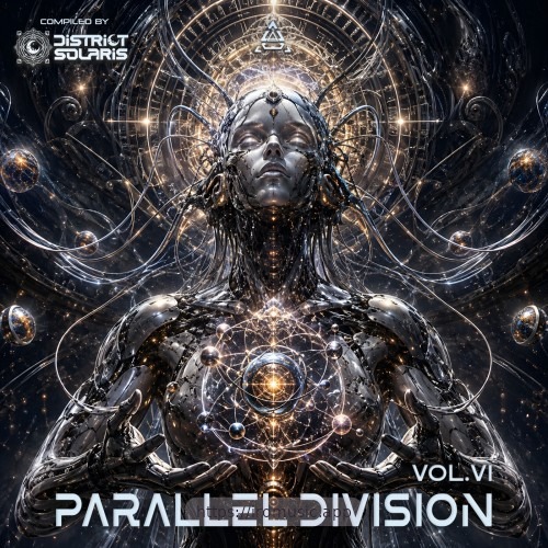 Parallel Division Vol. 6