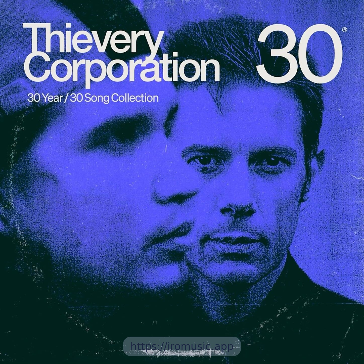 Thievery 30