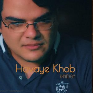 احمد فیلی