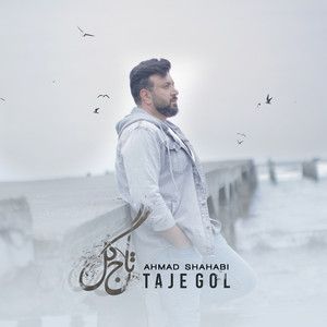 احمد شهابی