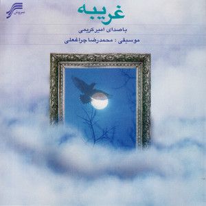 امیر کریمی