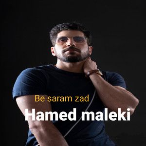 حامد ملکی