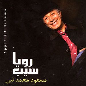 مسعود محمدنبی
