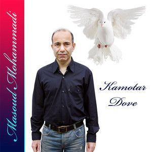 مسعود محمدی
