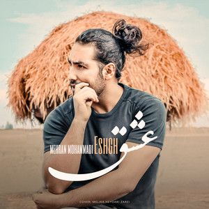 مهران محمدی