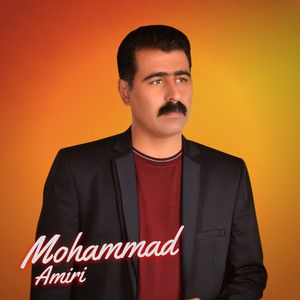 محمد امیری